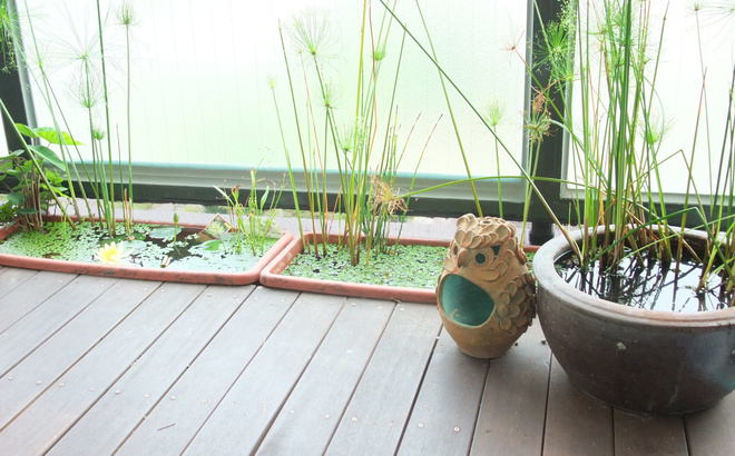dscf6056.jpg